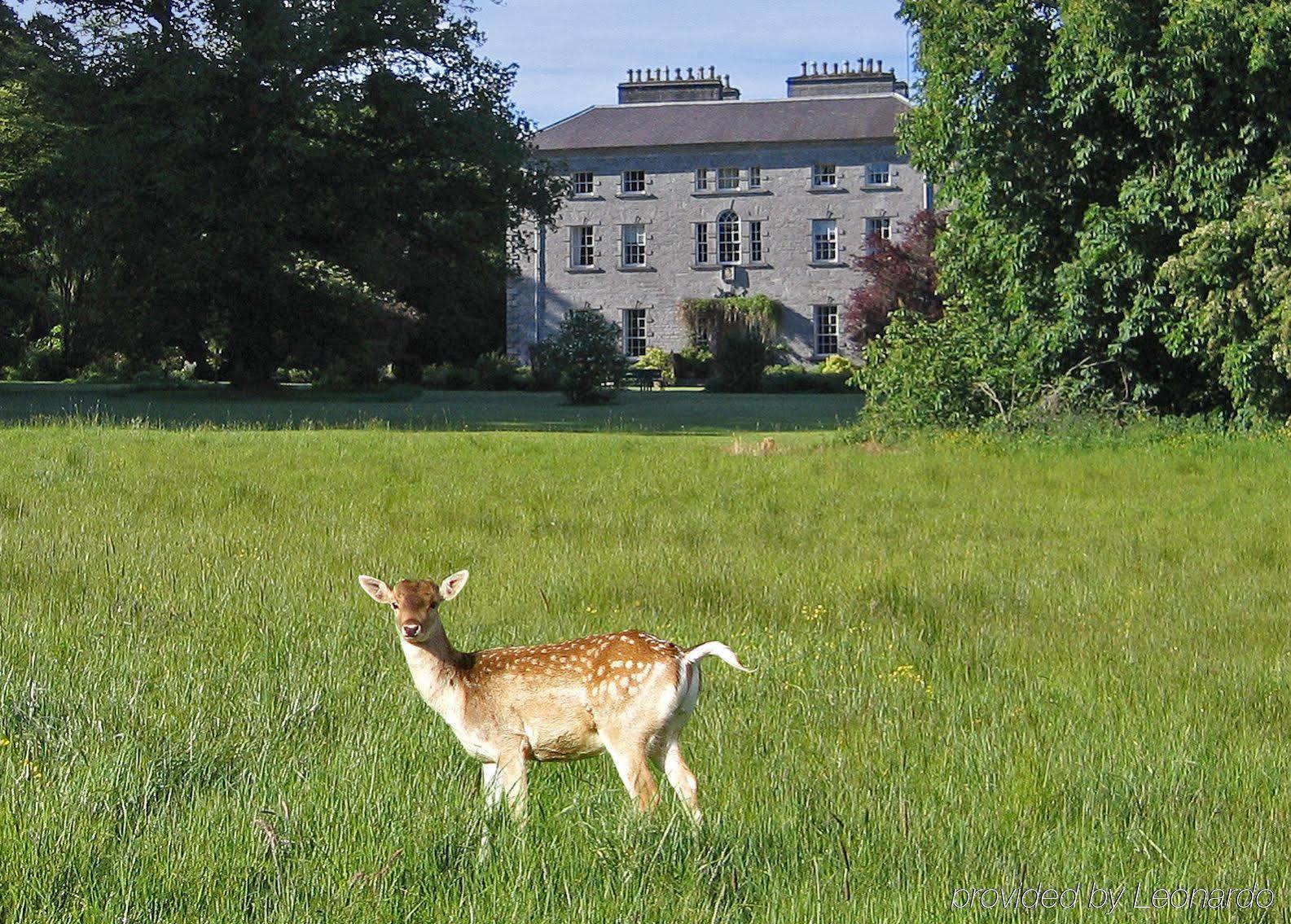 Hotel Coopershill House Riverstown  Exterior foto